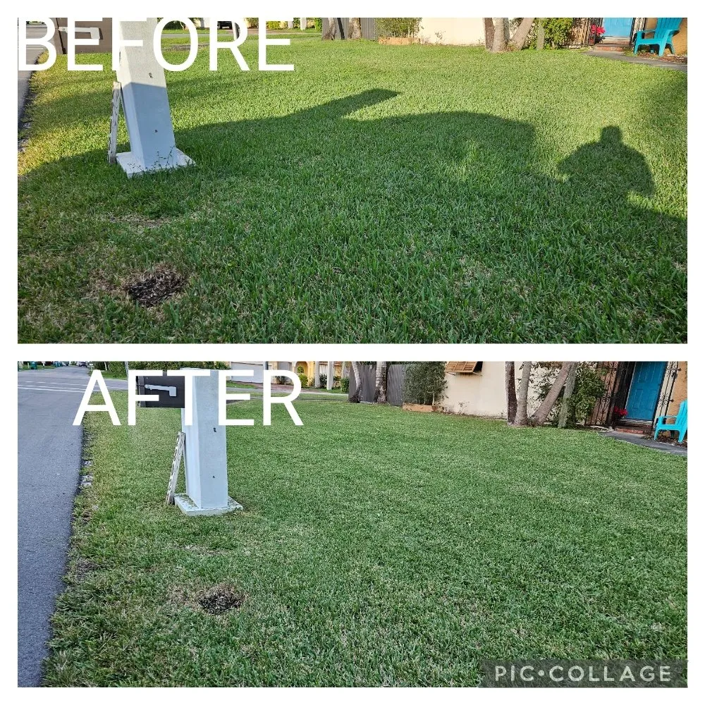 Custom yard maintenance experts serving Homestead, FL - Green Planet Lawn Maintenance