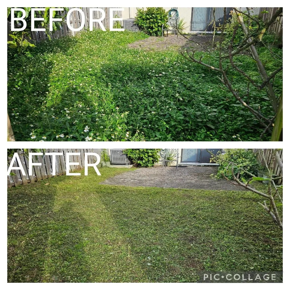 Local landscaping services for beautiful yards across Homestead, FL - Green Planet Lawn Maintenance