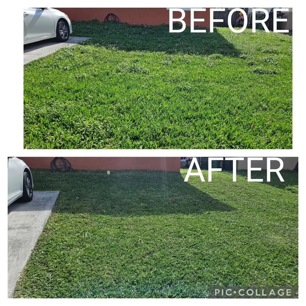 Reliable residential landscaping experts serving Homestead, FL - Green Planet Lawn Maintenance
