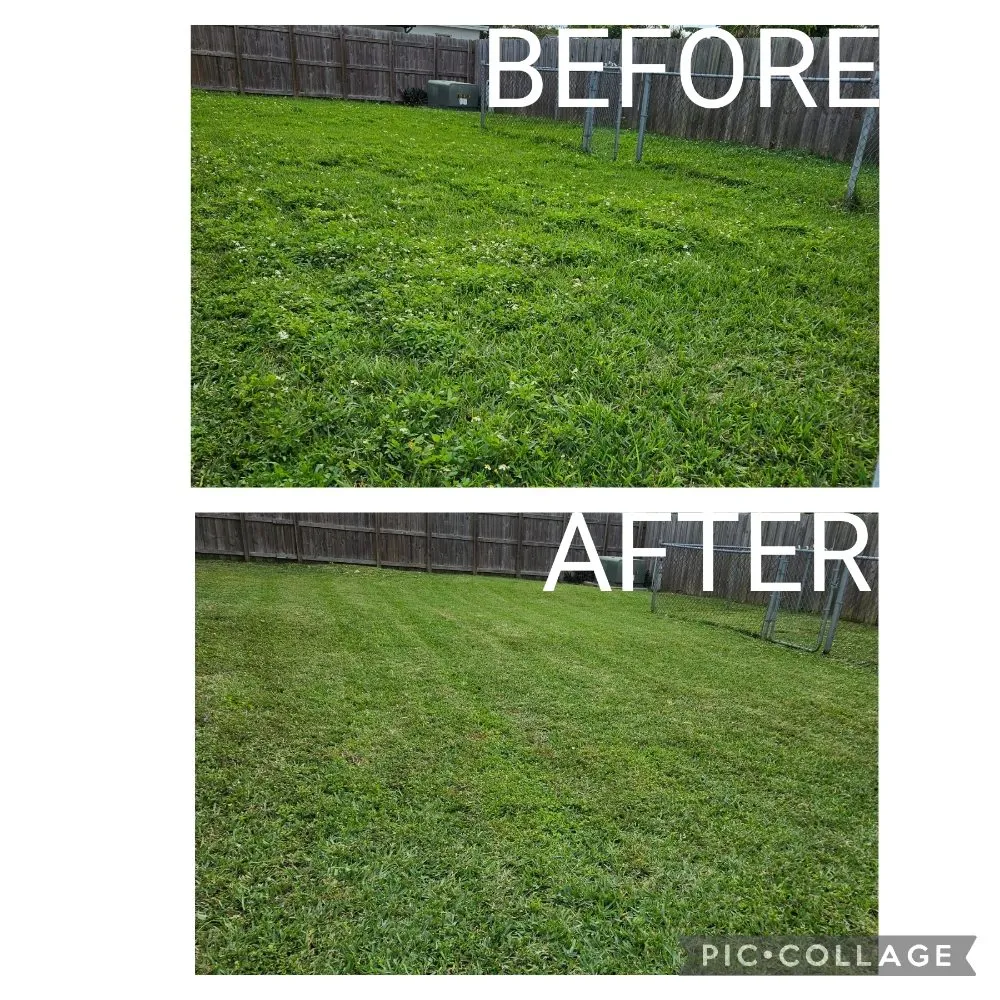 Expert landscape design experts serving Homestead, FL - Green Planet Lawn Maintenance