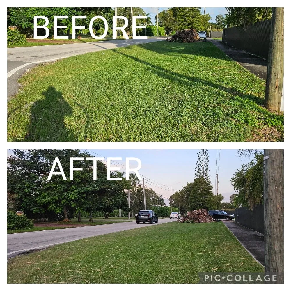 Local landscaping services in Homestead, FL - Green Planet Lawn Maintenance