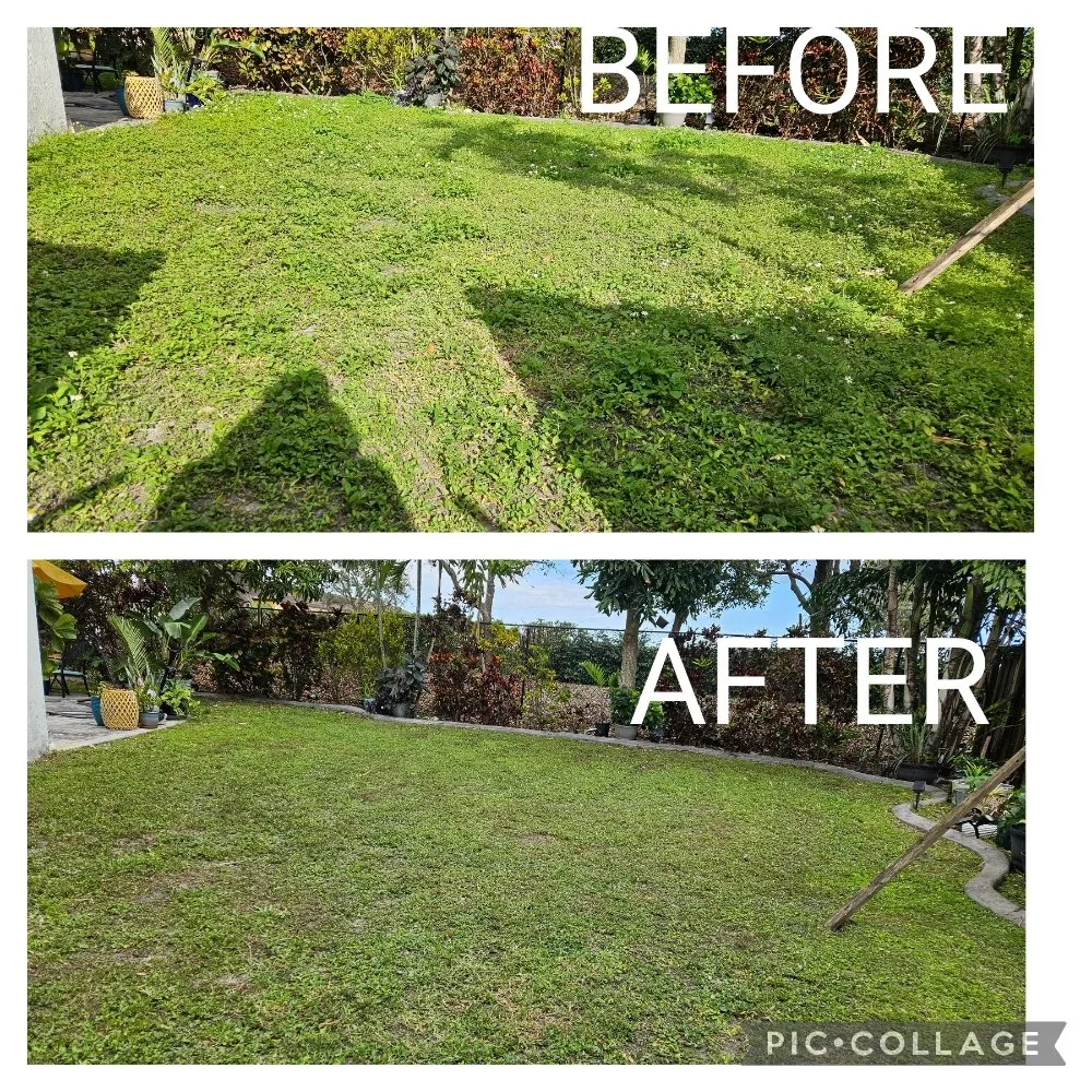 Professional landscape installation experts serving Homestead, FL - Green Planet Lawn Maintenance