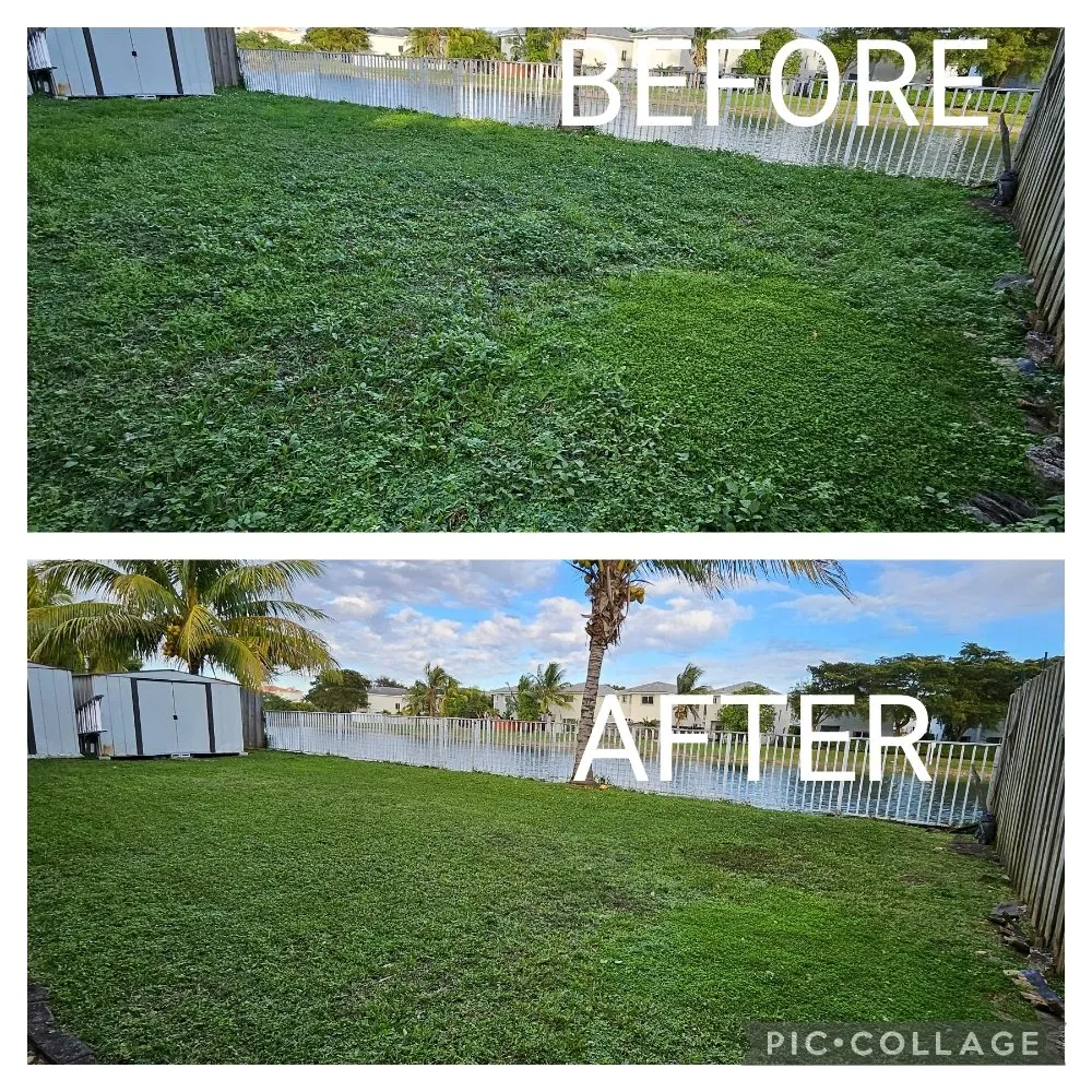 Local yard maintenance for outdoor upgrades across Homestead, FL - Green Planet Lawn Maintenance