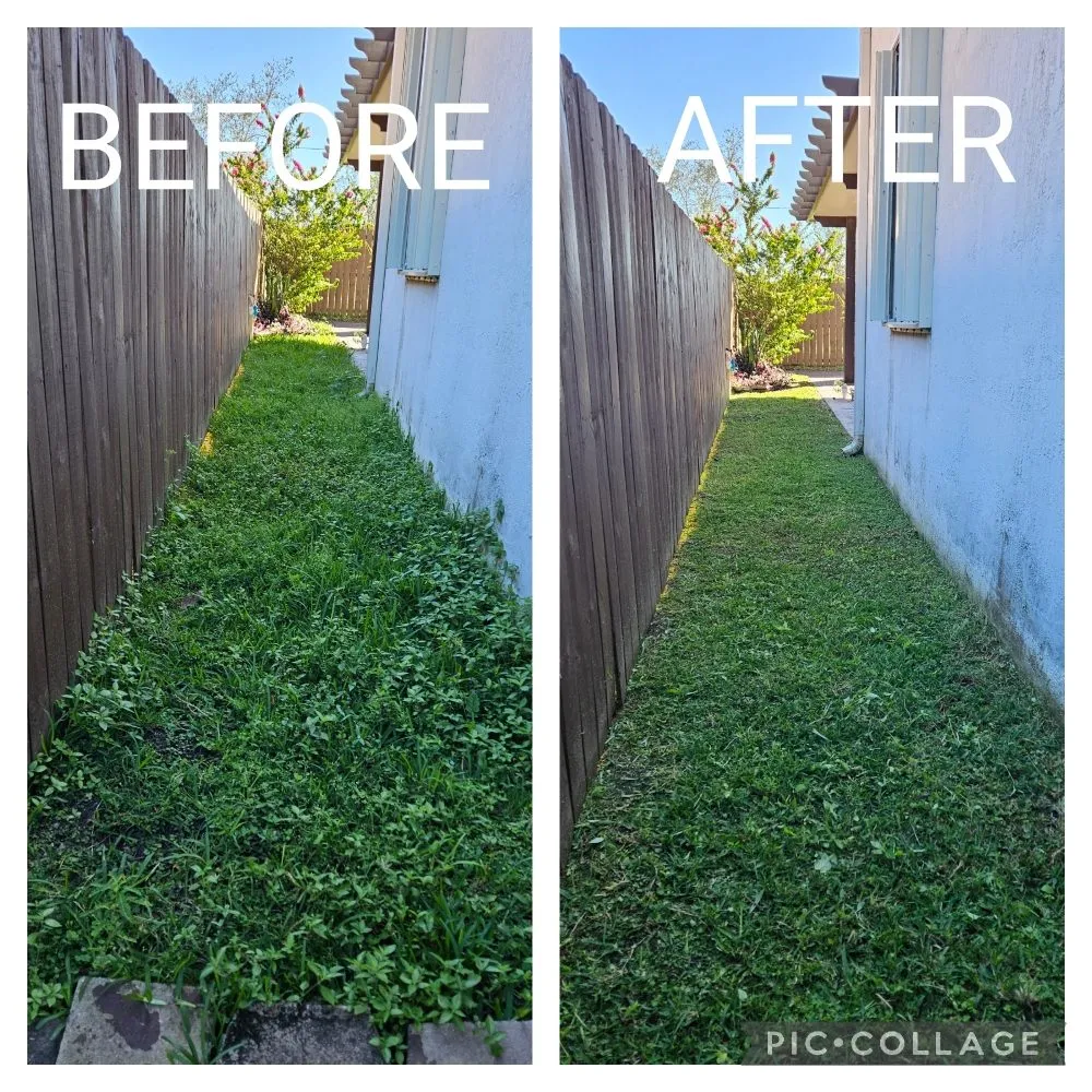 Professional yard cleanup service experts serving Homestead, FL - Green Planet Lawn Maintenance
