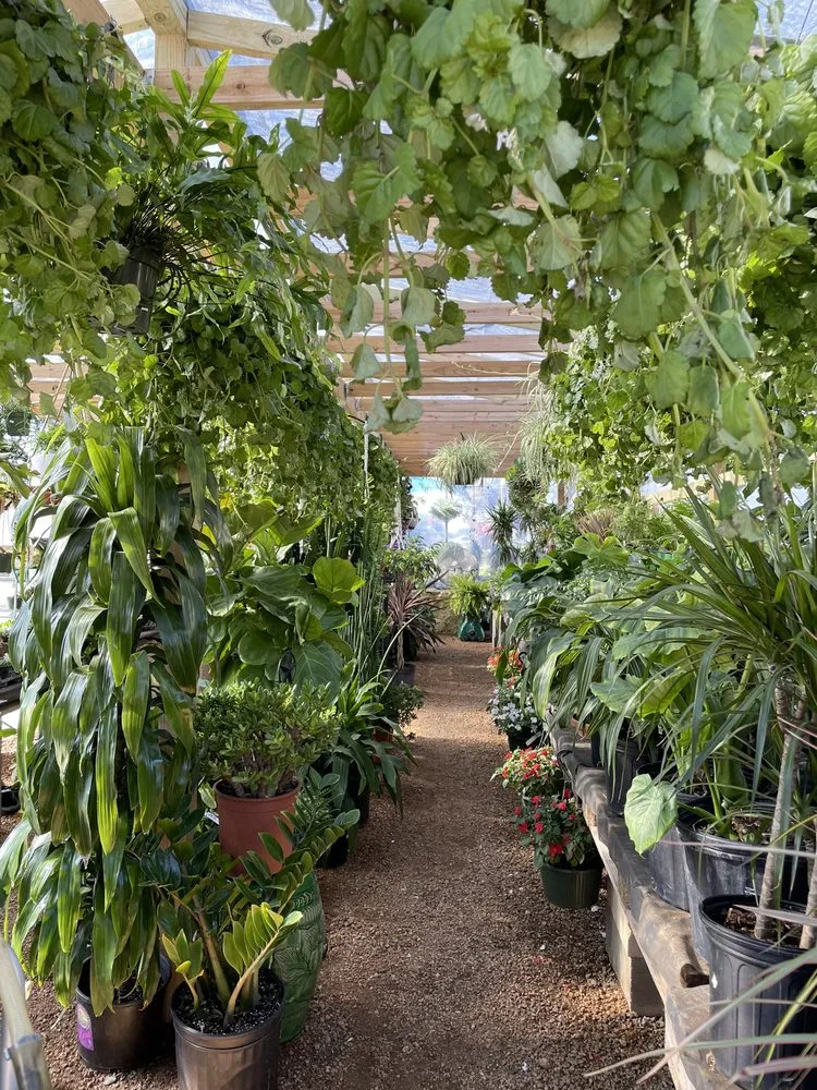 Professional garden landscaping in Austin, TX - Green Planet Scapes of Austin