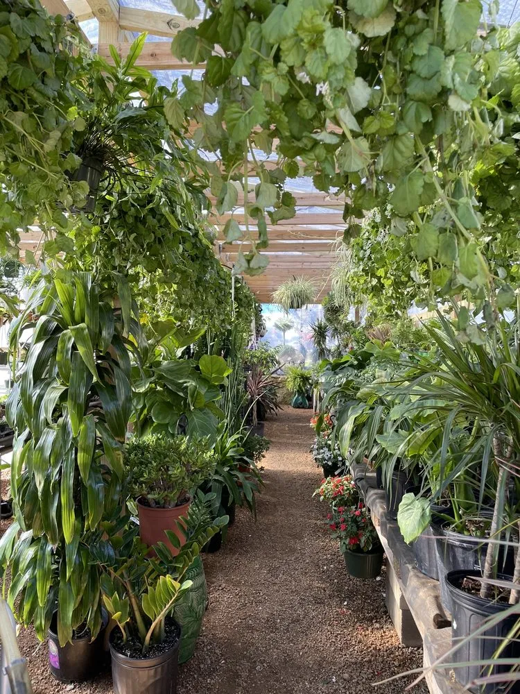 Professional garden landscaping experts serving Austin, TX - Green Planet Scapes of Austin