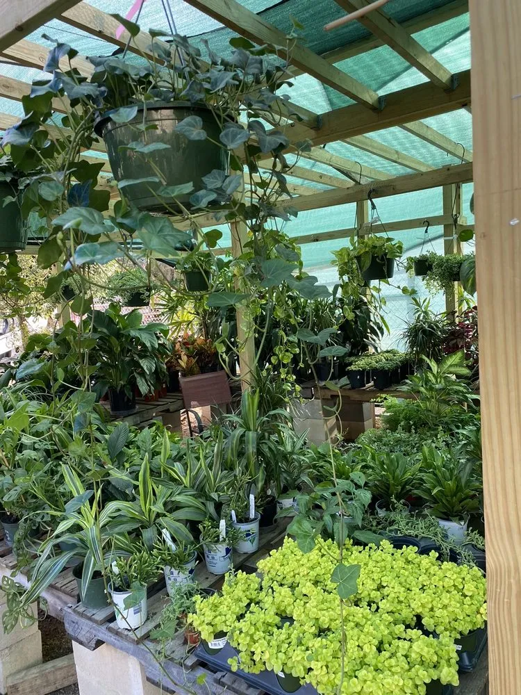 Reliable lawn mowing service experts serving Austin, TX - Green Planet Scapes of Austin