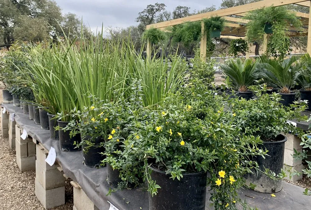 Top-rated lawn care service experts serving Austin, TX - Green Planet Scapes of Austin