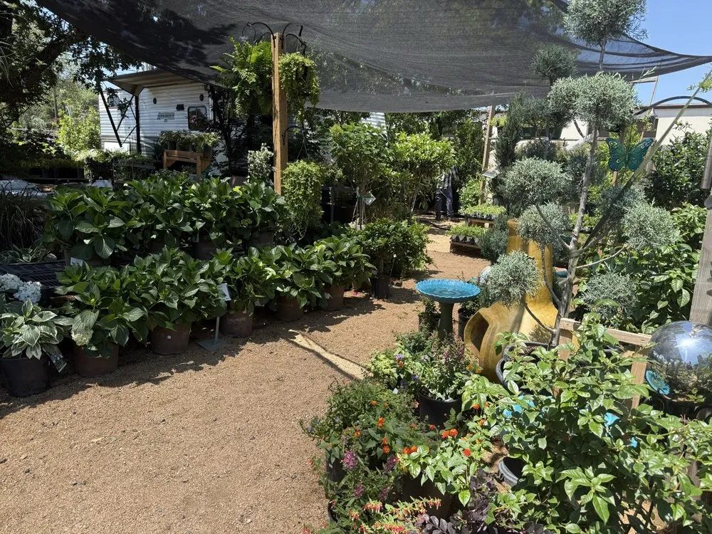 Top-rated yard cleanup service in Austin, TX - Green Planet Scapes of Austin