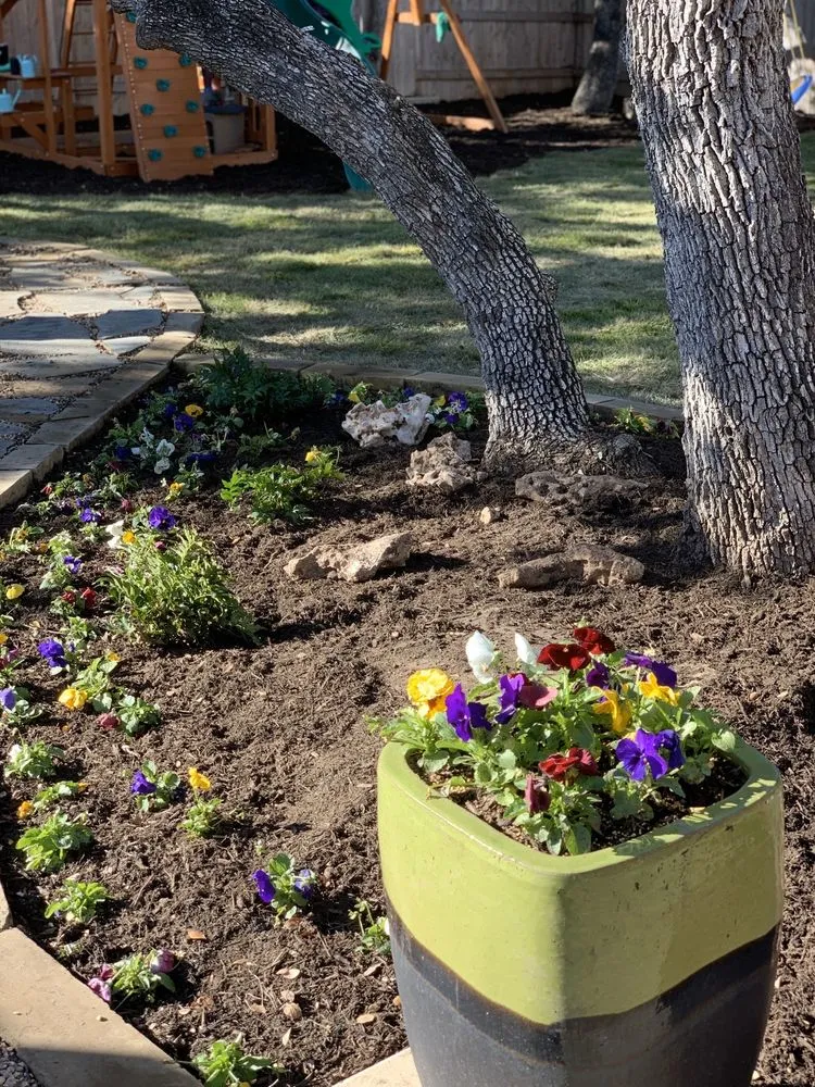 Trusted lawn mowing service experts serving Austin, TX - Green Planet Scapes of Austin