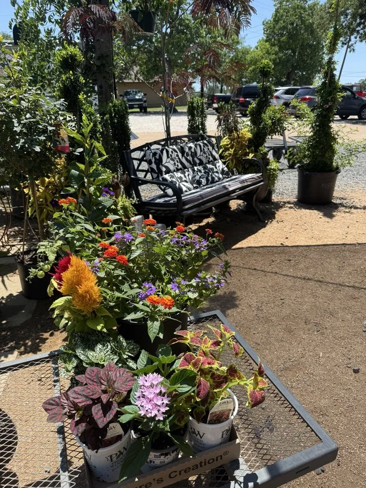 Reliable yard cleanup service in Austin, TX - Green Planet Scapes of Austin