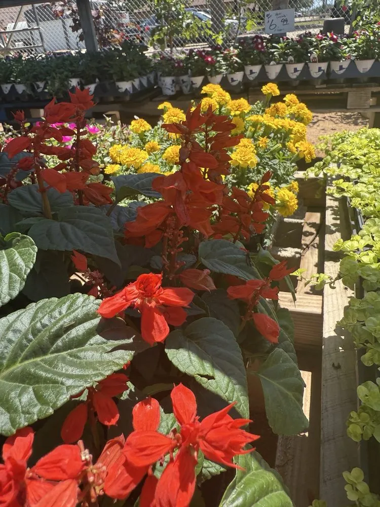 Trusted outdoor landscaping for outdoor upgrades in Austin, TX by Green Planet Scapes of Austin