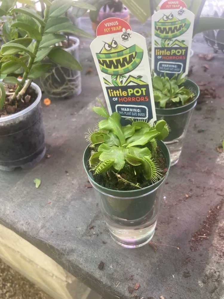 Trusted residential landscaping for homes in Austin, TX by Green Planet Scapes of Austin