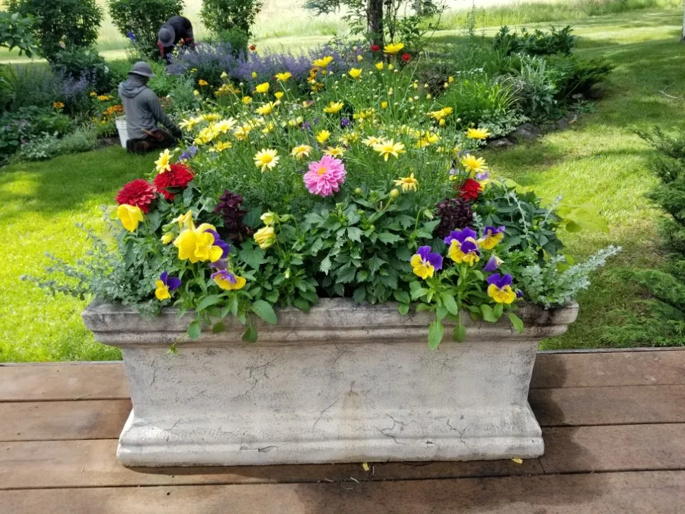 Reliable residential landscaping in Carbondale, CO by Green Planet Services