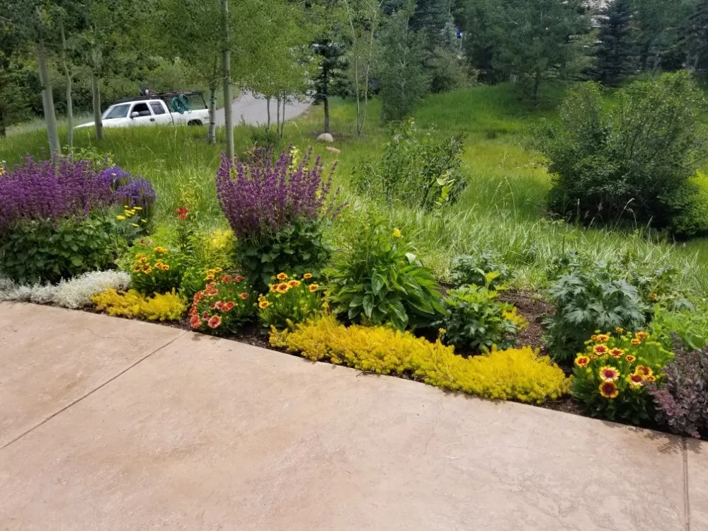 Custom residential landscaping for year-round maintenance in Carbondale, CO by Green Planet Services