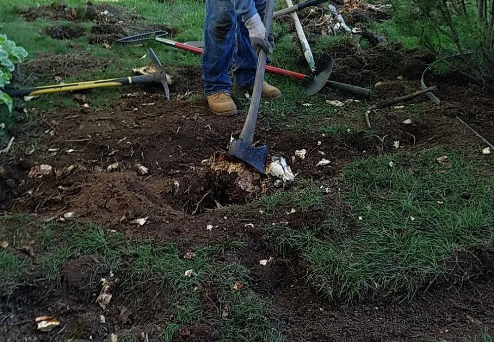 Trusted landscape design in Carbondale, CO - Green Planet Services