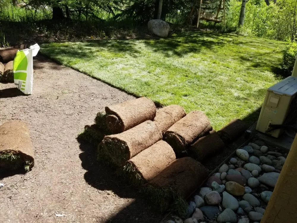 Affordable lawn care service in Carbondale, CO by Green Planet Services