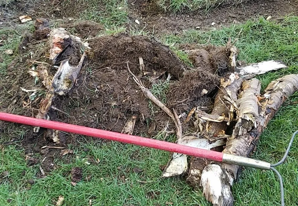 Reliable residential landscaping in Carbondale, CO - Green Planet Services