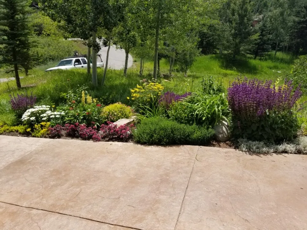 Local landscape installation experts serving Carbondale, CO - Green Planet Services