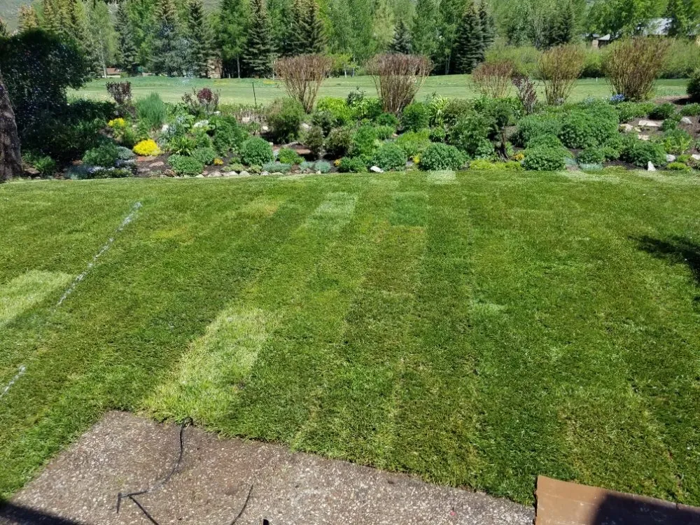 Professional landscape installation experts serving Carbondale, CO - Green Planet Services