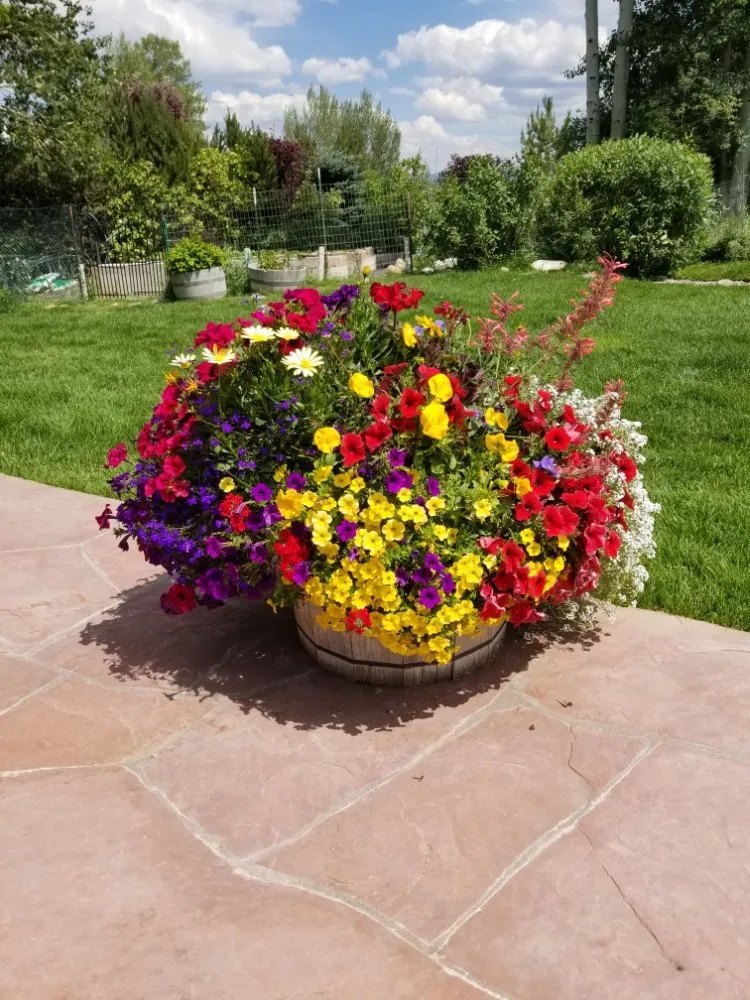 Professional landscape design in Carbondale, CO - Green Planet Services