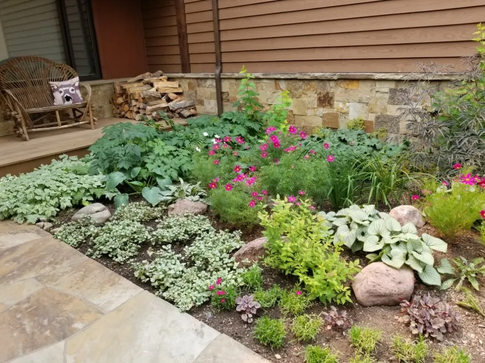 Trusted lawn care service near you in Carbondale, CO by Green Planet Services