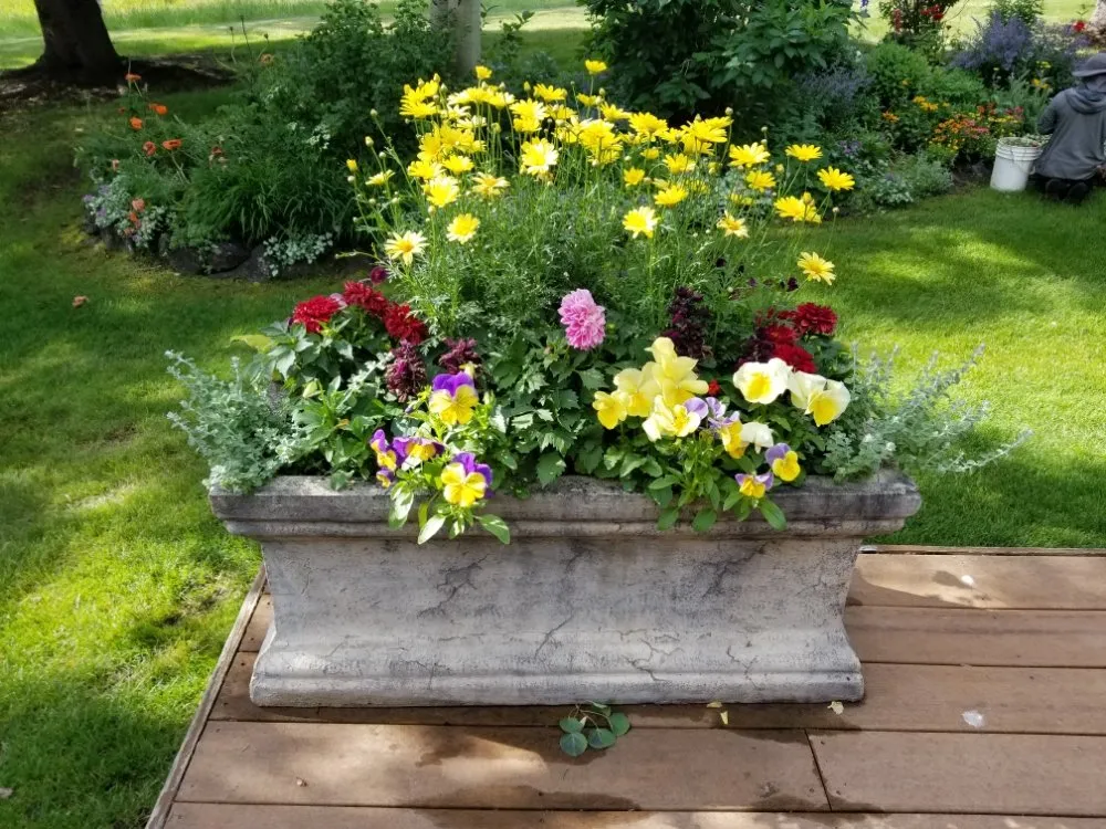 Custom landscape installation with custom design in Carbondale, CO by Green Planet Services