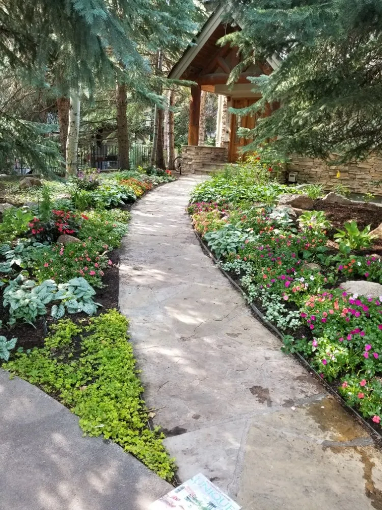 Professional residential landscaping experts serving Carbondale, CO - Green Planet Services