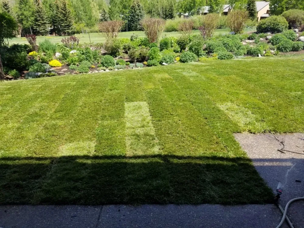 Affordable landscape installation experts serving Carbondale, CO - Green Planet Services