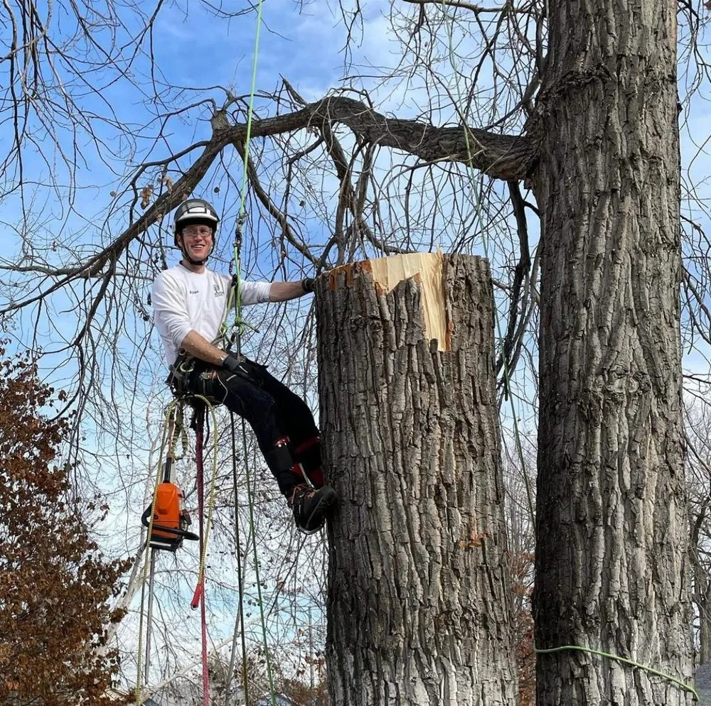 Professional lawn care service in Bismarck, ND - Green Planet Solutions