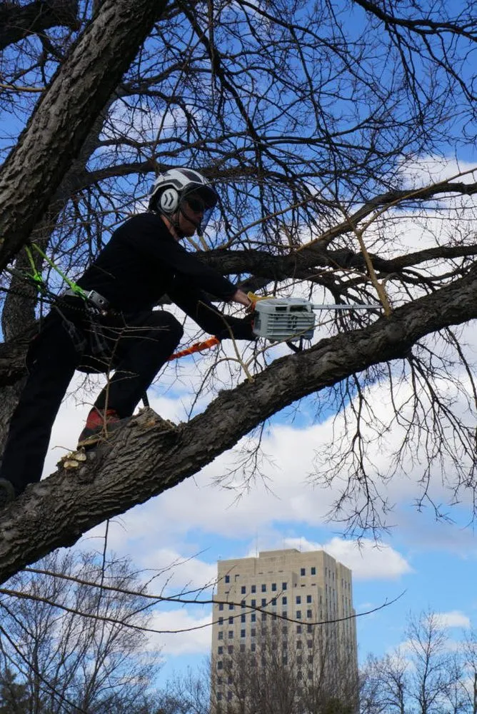 Reliable residential landscaping in Bismarck, ND - Green Planet Solutions