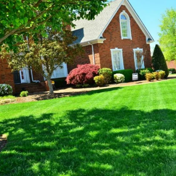 Professional garden landscaping experts serving Bismarck, ND - Green Planet Solutions