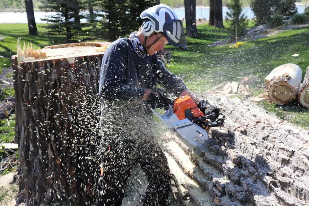 Professional lawn care service in Bismarck, ND - Green Planet Solutions