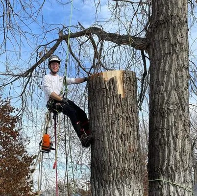 Green Planet Solutions