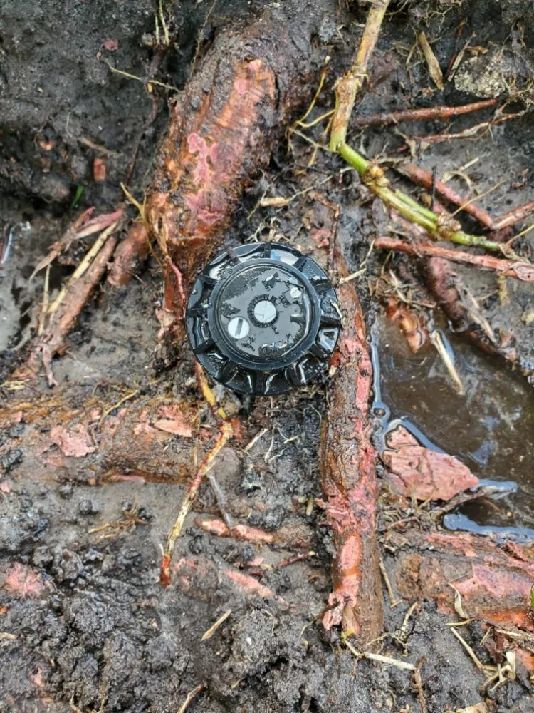 Professional garden landscaping in Coconut Creek, FL by Green Planet Sprinkler and Irrigation