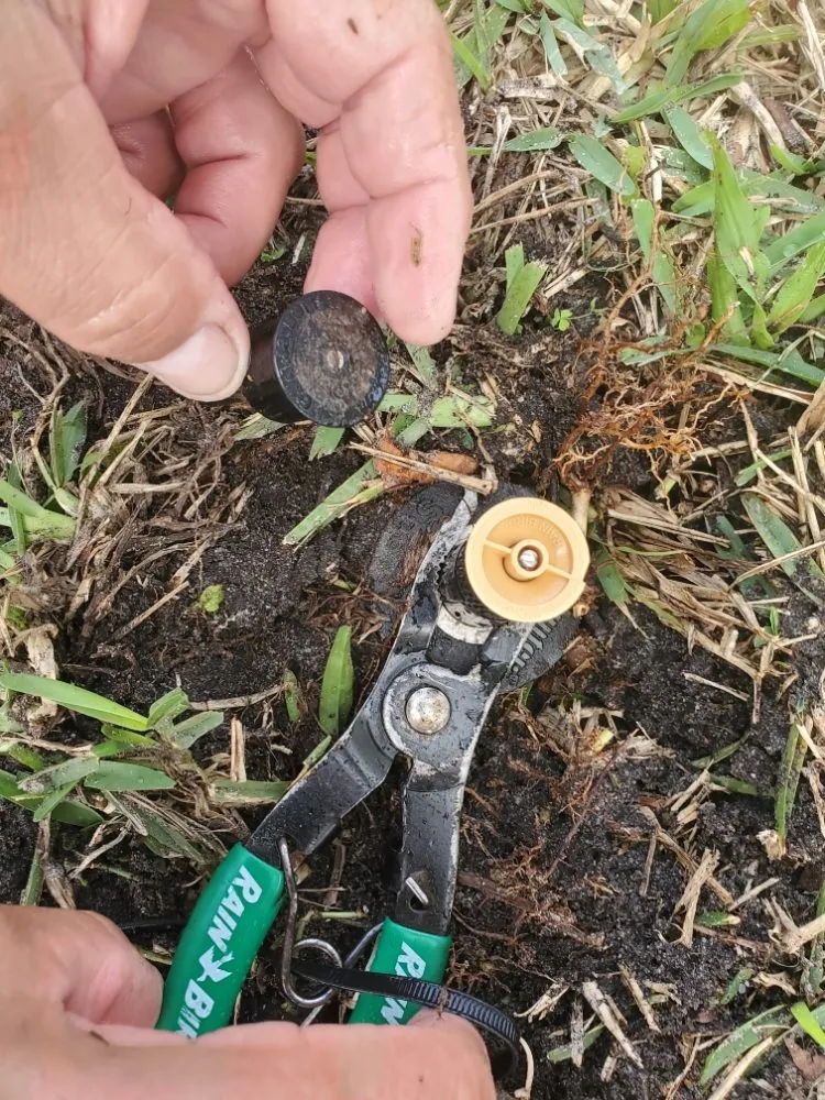 Trusted yard cleanup service experts serving Coconut Creek, FL - Green Planet Sprinkler and Irrigation