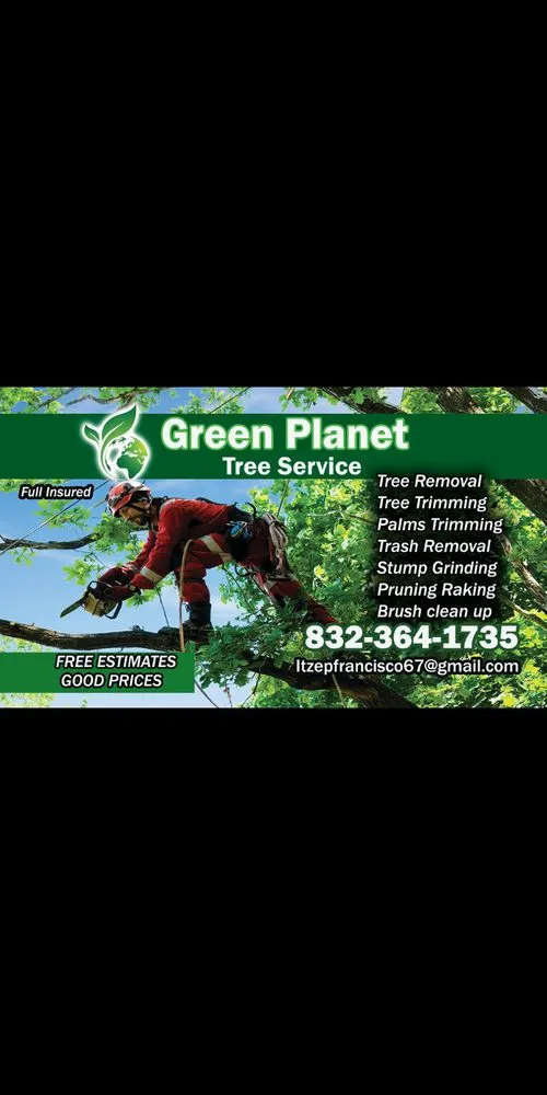 Reliable landscape installation in League City, TX by Green Planet Tree Service