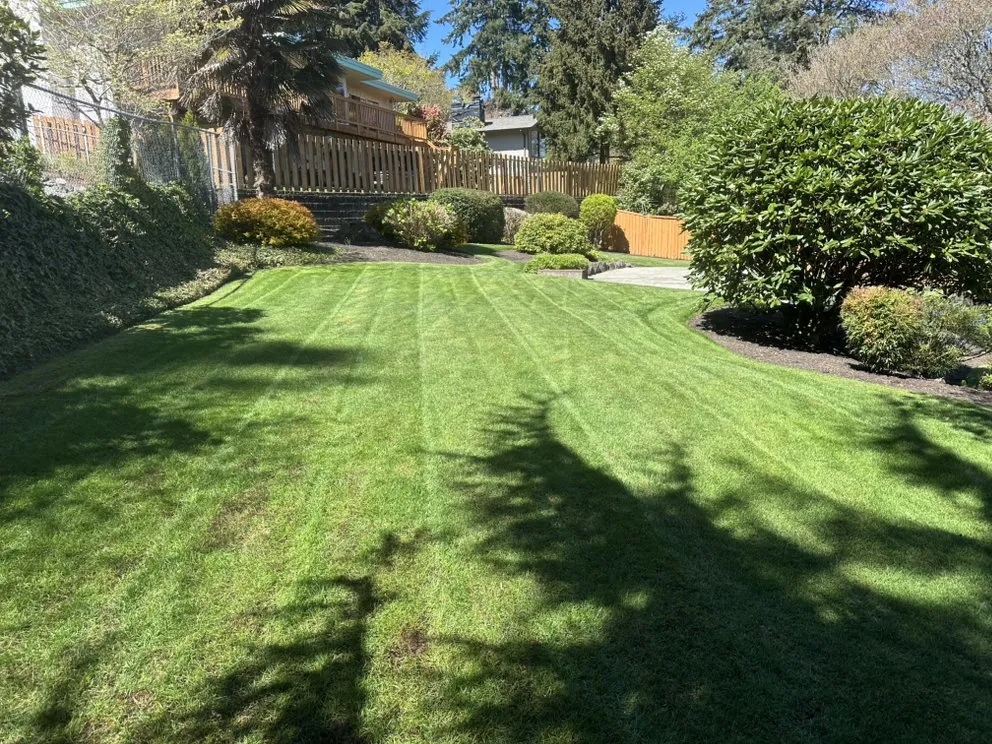 Local yard cleanup service in Auburn, WA by Green Planet Yard