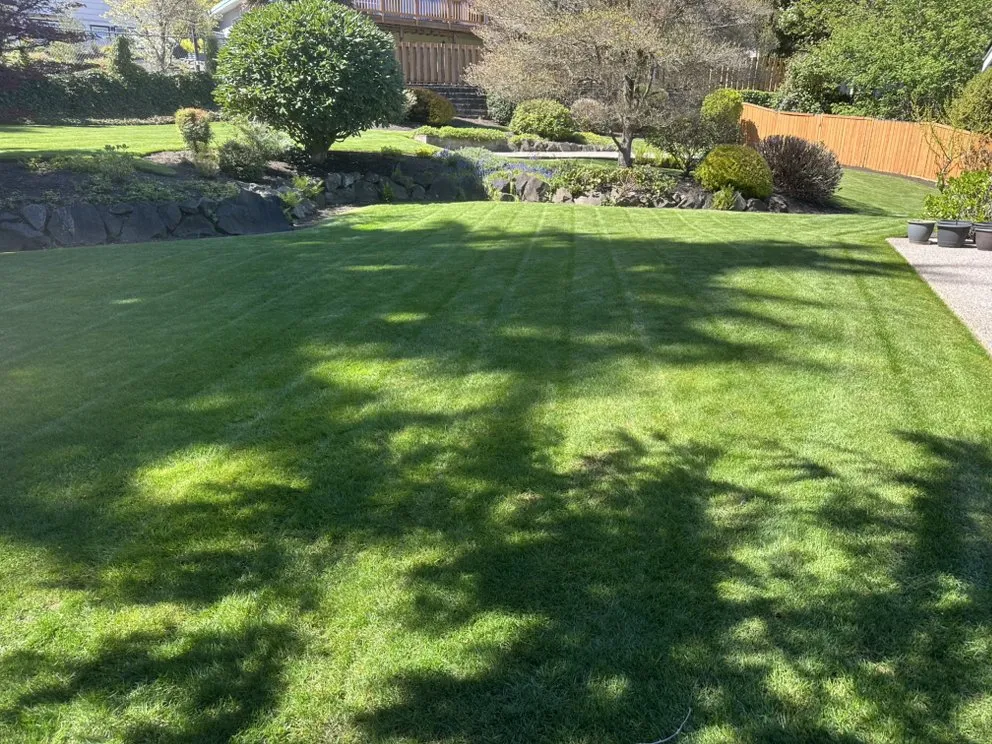Affordable lawn care service for year-round maintenance across Auburn, WA - Green Planet Yard