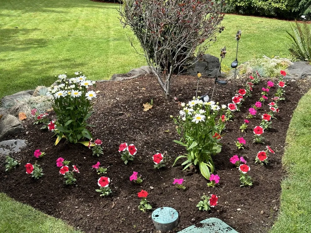 Trusted yard maintenance in Auburn, WA - Green Planet Yard