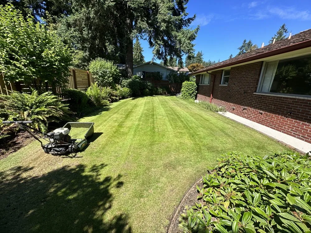 Professional outdoor landscaping experts serving Auburn, WA - Green Planet Yard