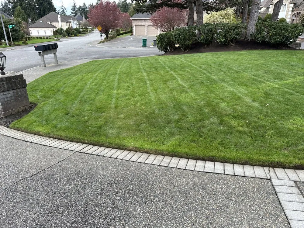Affordable yard maintenance near you in Auburn, WA by Green Planet Yard