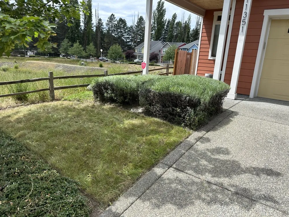 Top-rated landscape installation in Auburn, WA by Green Planet Yard