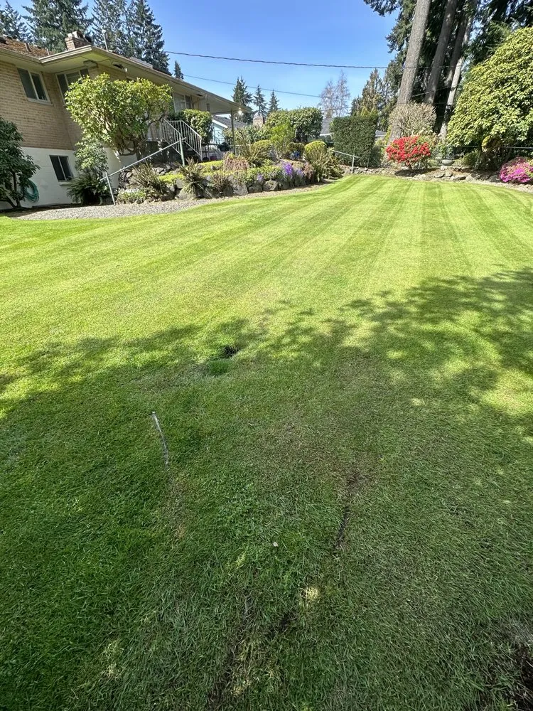 Reliable lawn mowing service near you in Auburn, WA by Green Planet Yard