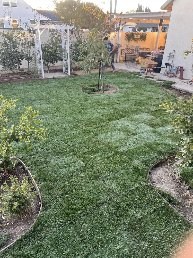 Reliable landscape design for beautiful yards in Santa Ana, CA by Green Plus Landscaping