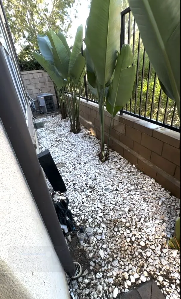 Affordable landscaping services in Santa Ana, CA by Green Plus Landscaping