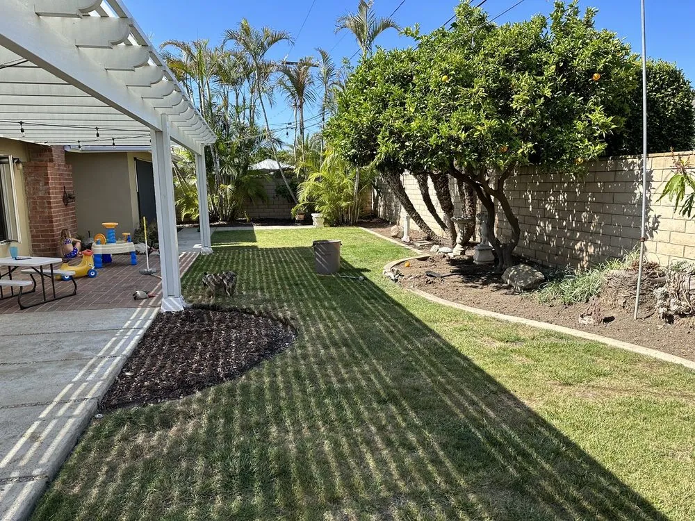 Top-rated yard cleanup service in Santa Ana, CA by Green Plus Landscaping