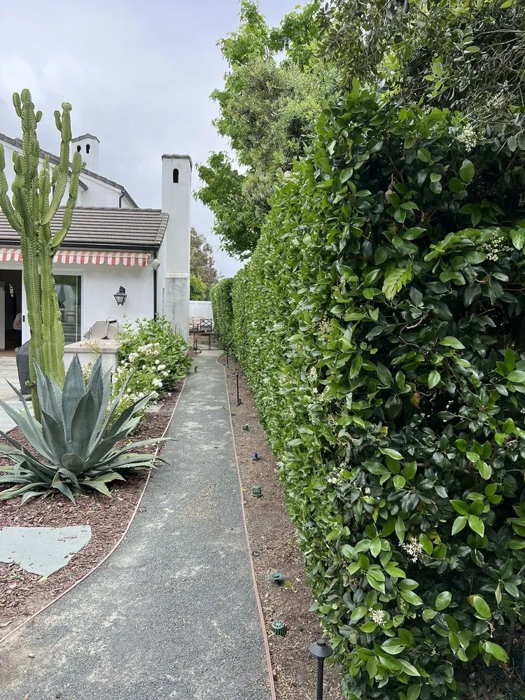 Trusted lawn care service for year-round maintenance in Santa Ana, CA by Green Plus Landscaping