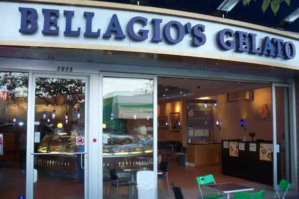 Reliable yard cleanup service experts serving Santa Ana, CA - Green Plus Landscaping