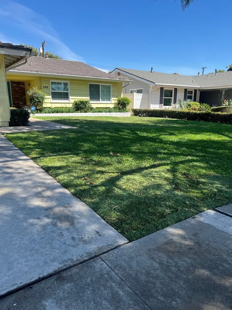 Top-rated lawn mowing service experts serving Santa Ana, CA - Green Plus Landscaping